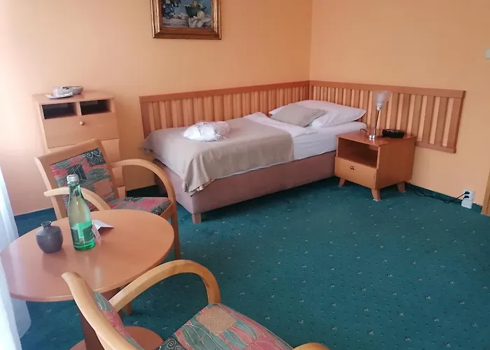 Monti 4* Františkovy Lázně
